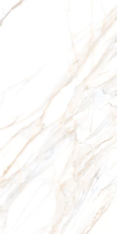 Aurum Calacatta Polished 24 x 48